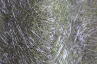 St Florence fibreglass roof work